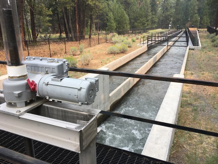 Three Sisters Screen